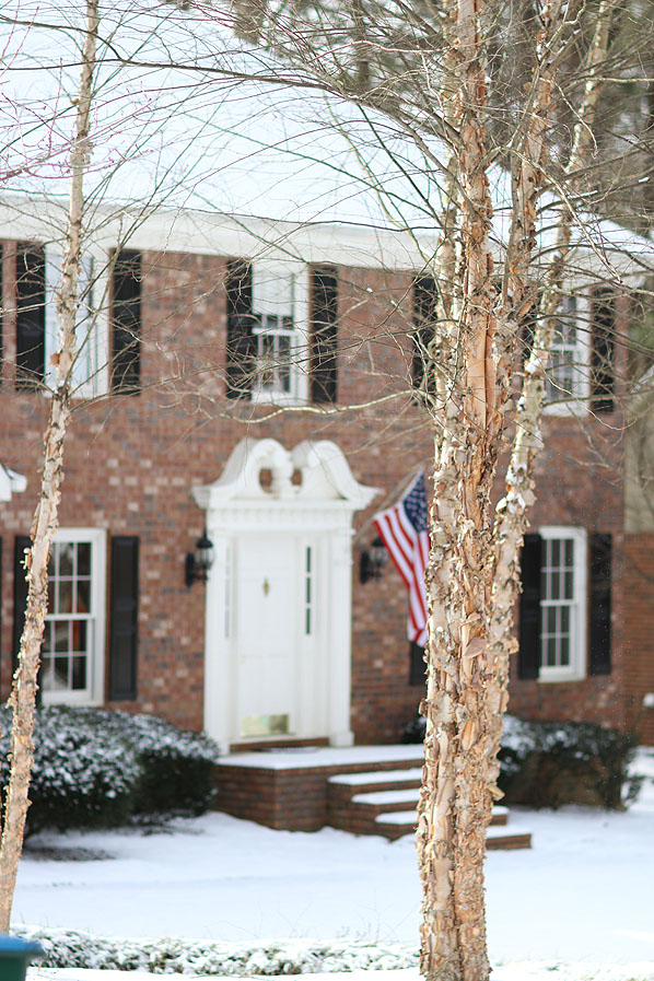 snow day 2 007